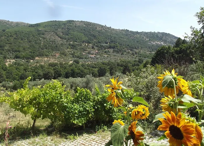 Quinta Do Pina