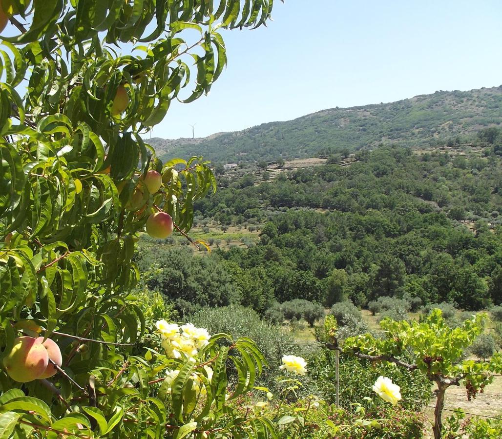 Quinta Do Pina