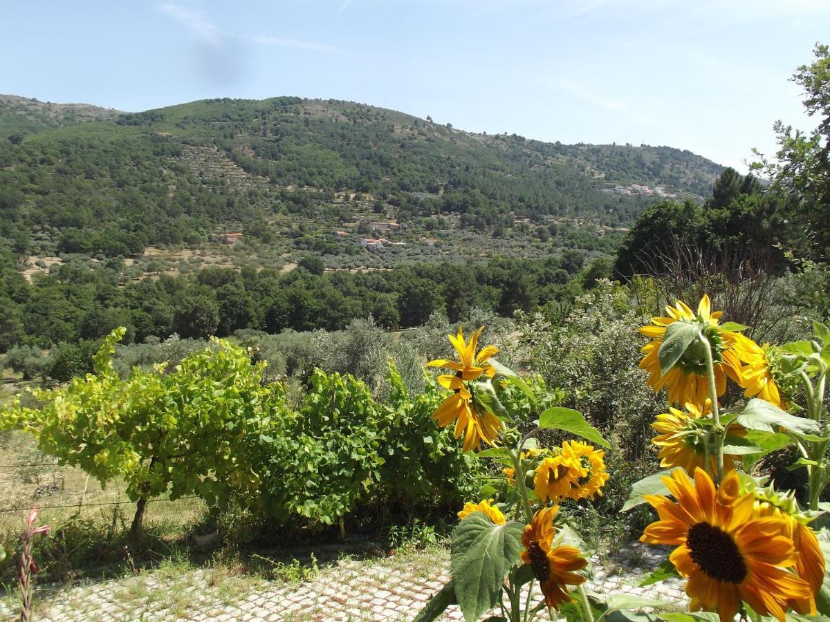 Quinta Do Pina * Guarda