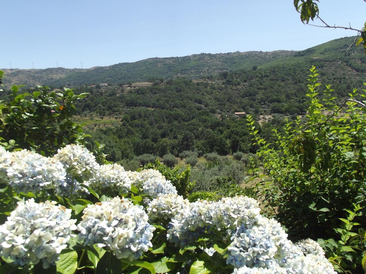 Quinta Do Pina Apartment Guarda