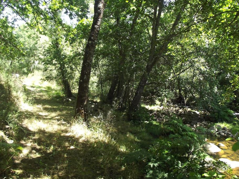 Quinta Do Pina * Guarda
