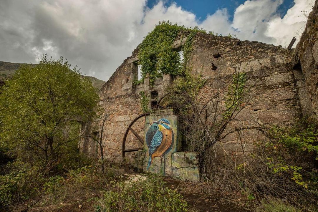 Quinta Do Pina Guarda